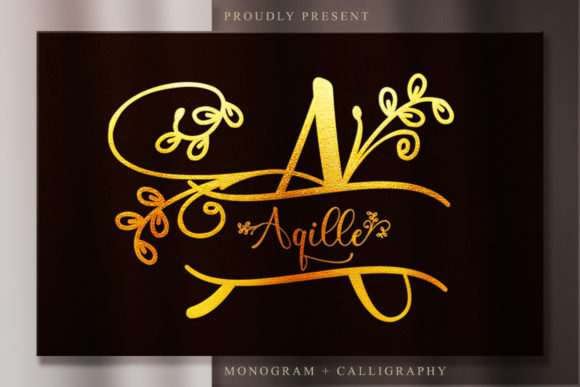 Aqille: The Elegant Handwritten Font for Campaigns