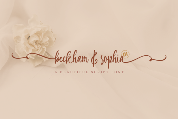 Beckham Sophia: A Handwritten Font for Campaigns
