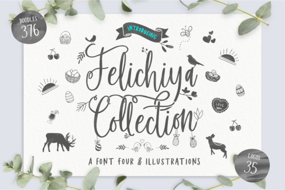 Felichiya Collection: A Versatile Typeface for Campaigns