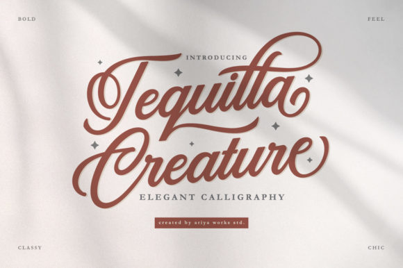 Tequilla Creature: A Modern Script Font for Web Design
